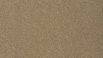 Ковролин Vorwerk Passion 1006 Vorwerk 8j12 фото 1 | FLOORDEALER