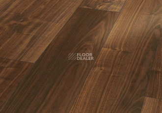 Ламинат Parador Basic Plus 200 V 1593999 Орех Basic 200 фото 1 | FLOORDEALER