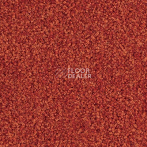 Ковролин Balsan Bolero 485 фото 1 | FLOORDEALER