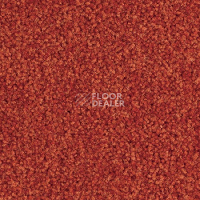 Ковролин Balsan Bolero 485 фото 1 | FLOORDEALER