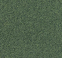 Ковролин e-firm 22 фото 1 | FLOORDEALER