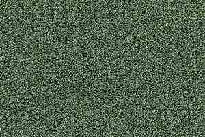 Ковролин e-firm 22 фото  | FLOORDEALER