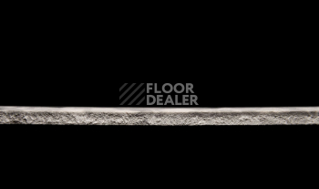 Tarkett Primo Plus 315 фото 3 | FLOORDEALER