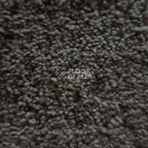 Ковролин Condor Carpets Dynasty 45 фото 1 | FLOORDEALER