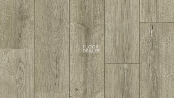 Линолеум Tarkett Caprice Dilan 2 фото 1 | FLOORDEALER