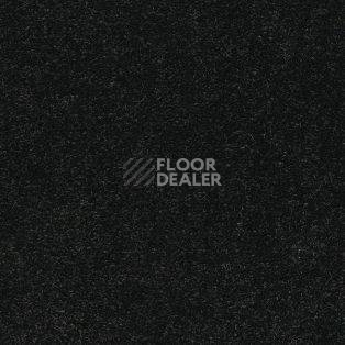 Ковролин AW Sauvage 99 фото 1 | FLOORDEALER