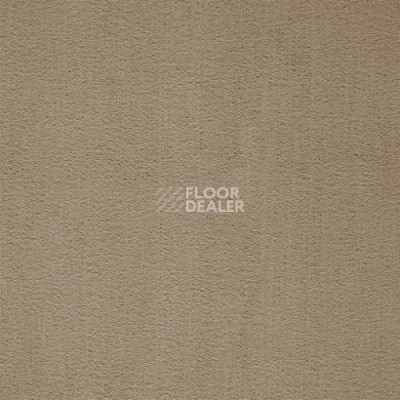 Ковролин Balta ITC Prominent 43 фото 1 | FLOORDEALER