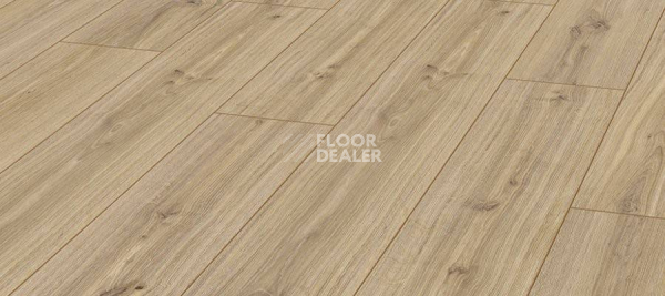 Ламинат Kronotex Robusto 12мм d3073 Дуб Фалсбург фото 1 | FLOORDEALER