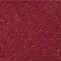 Ковролин Vorwerk Allegro 1h60 фото 1 | FLOORDEALER