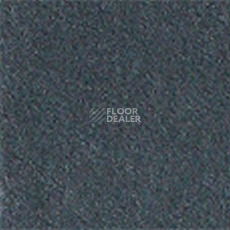 Ковролин Girloon Standard 555 фото 1 | FLOORDEALER