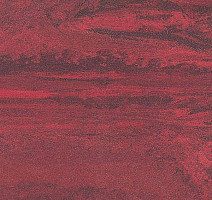 Линолеум Polyflor Standart XL 8580 фото 1 | FLOORDEALER