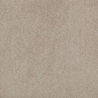 Ковролин Mohawk Lounge 250 фото 1 | FLOORDEALER