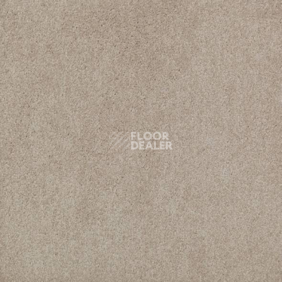 Ковролин Mohawk Lounge 250 фото 1 | FLOORDEALER