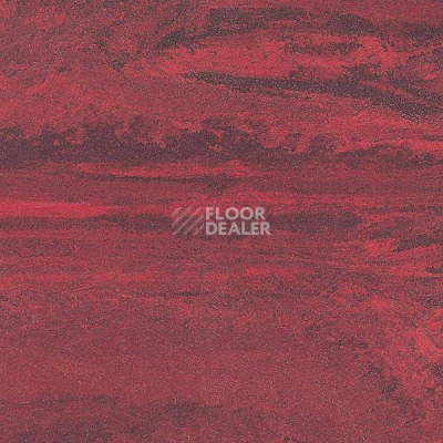 Линолеум Polyflor Standart XL 8580 фото 1 | FLOORDEALER