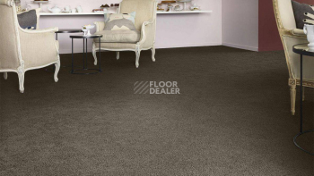 Vorwerk Superior 1041 Vorwerk 7g28 фото 2 | FLOORDEALER