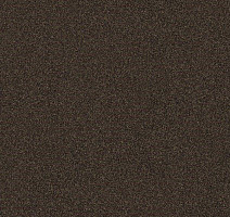 Interface Polichrome 7565 Burnt Umbra фото 1 | FLOORDEALER