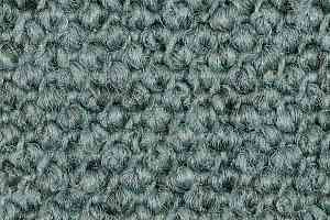 Ковролин Carpet Concept Eco Cut 30005 фото  | FLOORDEALER