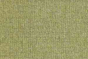 Ковролин Carpet Concept Eco 1 6633 фото  | FLOORDEALER