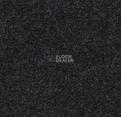 Ковролин Forbo Forte 96069 Black фото 1 | FLOORDEALER
