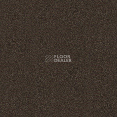 Ковровая плитка Interface Polichrome 7565 Burnt Umbra фото 1 | FLOORDEALER