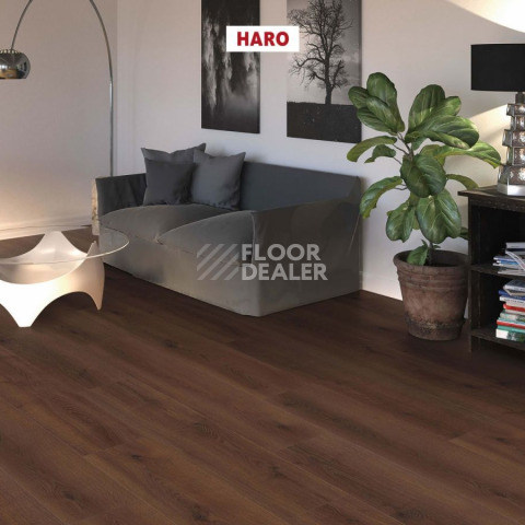 Haro Tritty 100 Campus 4V ДУБ КОНТУРА ДЫМЧАТЫЙ 541540 фото 2 | FLOORDEALER