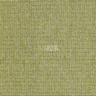 Ковролин Carpet Concept Eco 1 6633 фото 1 | FLOORDEALER