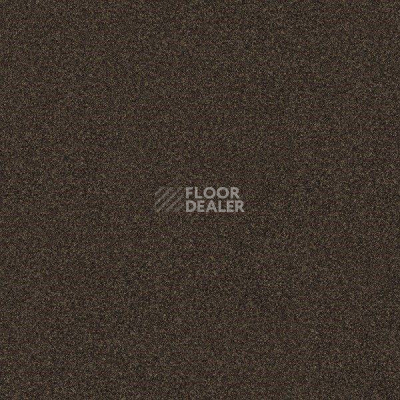 Ковровая плитка Interface Polichrome 7565 Burnt Umbra фото 1 | FLOORDEALER