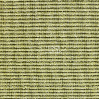 Ковролин Carpet Concept Eco 1 6633 фото 1 | FLOORDEALER