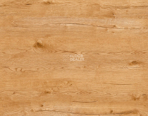 Kronotex Exquisit 8мм d80712 Дуб Пустынный Натур фото 2 | FLOORDEALER