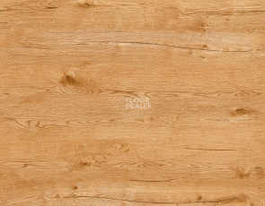 Kronotex Exquisit 8мм d80712 Дуб Пустынный Натур фото 2 | FLOORDEALER