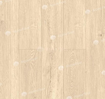 Кварцвиниловые полы Alpine Floor Sequoia (LVT) Секвойя Классик ЕСО 6-10 LVT фото 1 | FLOORDEALER