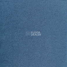 Ковролин Sintelon Eden 47430 фото 1 | FLOORDEALER
