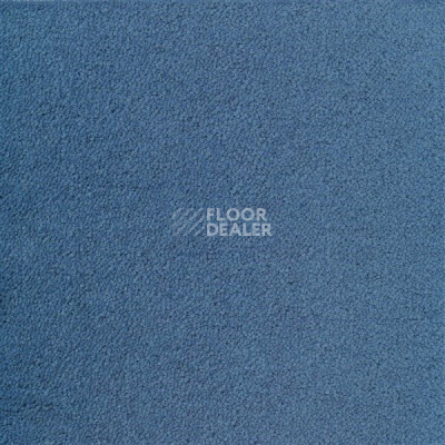 Ковролин Sintelon Eden 47430 фото 1 | FLOORDEALER