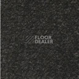 Ковролин Emphatic Beaulieu of America 56545 фото 1 | FLOORDEALER