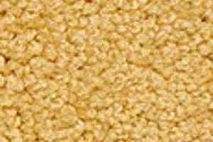 Ковролин Girloon Body1 231 фото  | FLOORDEALER