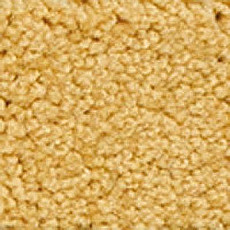 Girloon Body1 231 фото 1 | FLOORDEALER