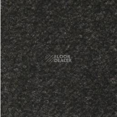 Ковролин Emphatic Beaulieu of America 56545 фото 1 | FLOORDEALER