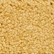 Ковролин Girloon Body1 231 фото 1 | FLOORDEALER