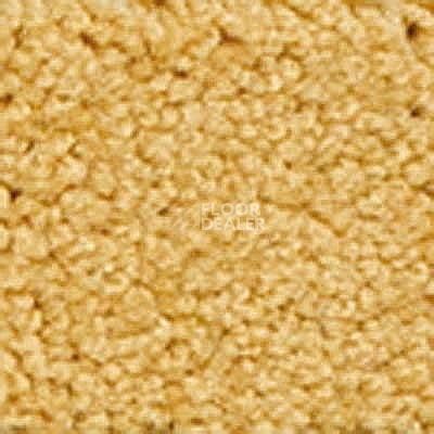 Ковролин Girloon Body1 231 фото 1 | FLOORDEALER