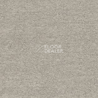 Ковролин AW Sauvage 94 фото 1 | FLOORDEALER