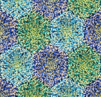 Ковролин Forbo Flotex by Mac Stopa 360001 f Blue Anemone фото 1 | FLOORDEALER