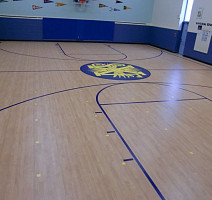 Desoma Sport Universal 6.5 Wood