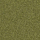 Ковролин Associated Weavers Maxima 21  | FLOORDEALER