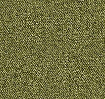 Ковролин Associated Weavers Maxima 21 фото 1 | FLOORDEALER