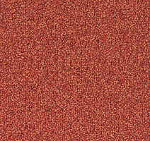 Desso Sand 5012 фото 1 | FLOORDEALER