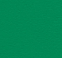 Линолеум Gerflor Recreation 30 Wood 6570_Mint_Green фото 1 | FLOORDEALER