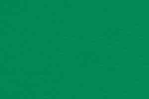 Линолеум Gerflor Recreation 30 Wood 6570_Mint_Green фото  | FLOORDEALER