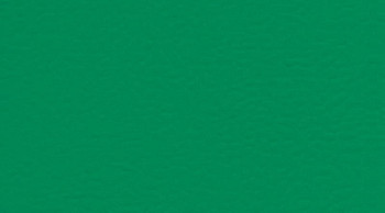 Линолеум Gerflor Recreation 30 Wood 6570_Mint_Green фото 1 | FLOORDEALER