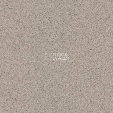 Линолеум Tarkett Primo Plus 313 фото 1 | FLOORDEALER