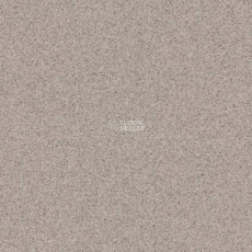 Tarkett Primo Plus 313 фото 1 | FLOORDEALER